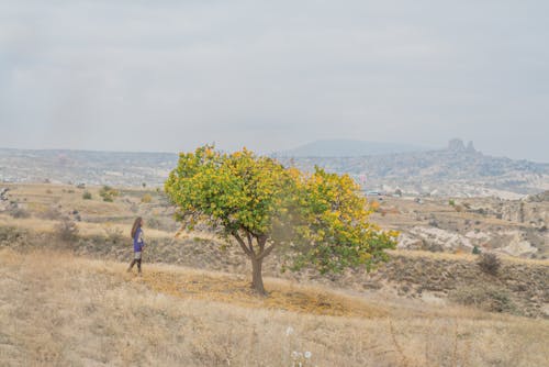 A Person Walking by a Tree