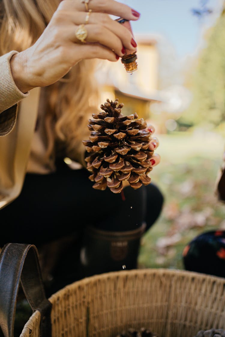 Hand Of A Woman Holding A Pine Cone And A Small Bottle