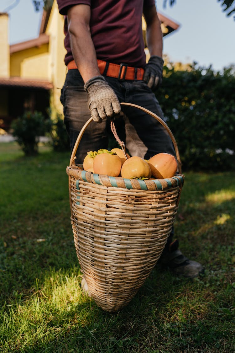 Hand Holding Fruit In Basket