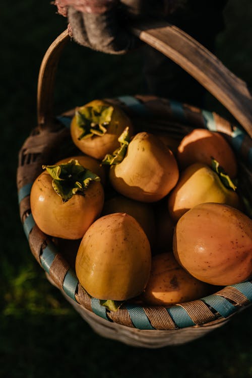 Close-Up Shot of Persimmons on a Basket