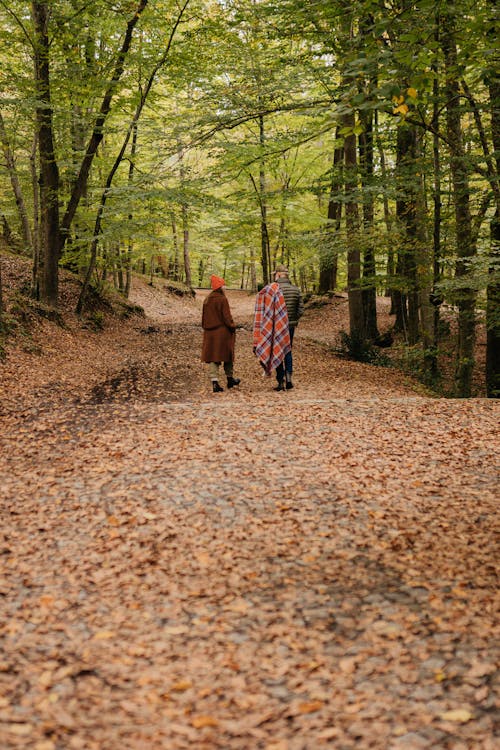 Back View of People Walking at a Park in Fall