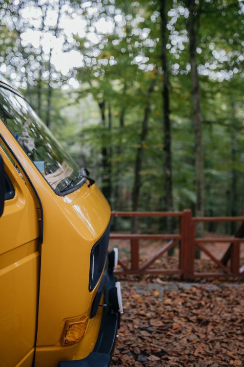 Free A close-up shot of a yellow van parked amidst lush green trees in a tranquil forest. Stock Photo
