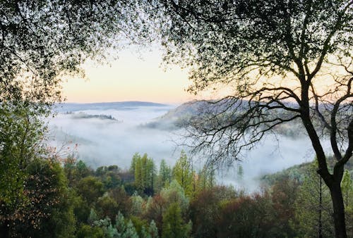 Foto Della Montagna Coperta Di Nebbia