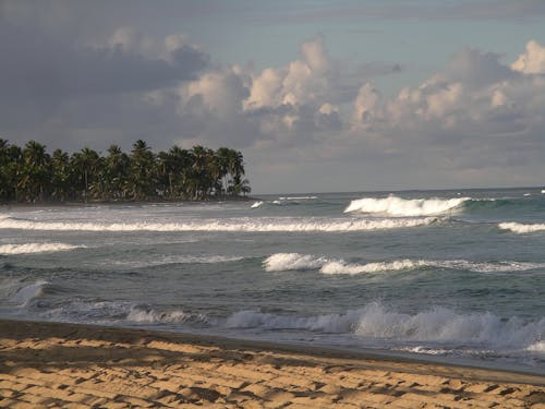 karayipli, kıyı, okyanus içeren Ücretsiz stok fotoğraf