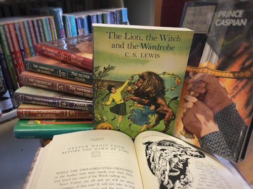 Gratis arkivbilde med aslan, barnebøker, bibliotek
