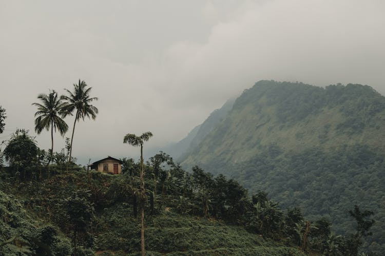 House On Hilltop In Mountains