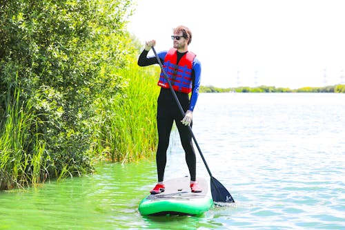 Fotobanka s bezplatnými fotkami na tému muž, paddle boarding, paddle doska