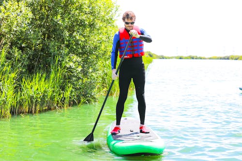 Fotobanka s bezplatnými fotkami na tému muž, paddle boarding, paddle doska