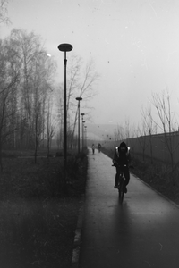 Rider on a foggy avenue, photo by Vitaly Gorbachev on Pexels
