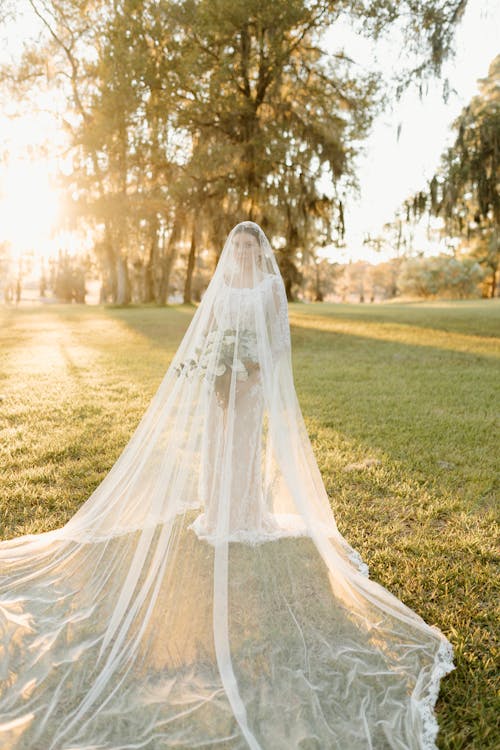 Free Bride Standing in a Park Hidden behind the Veil Stock Photo