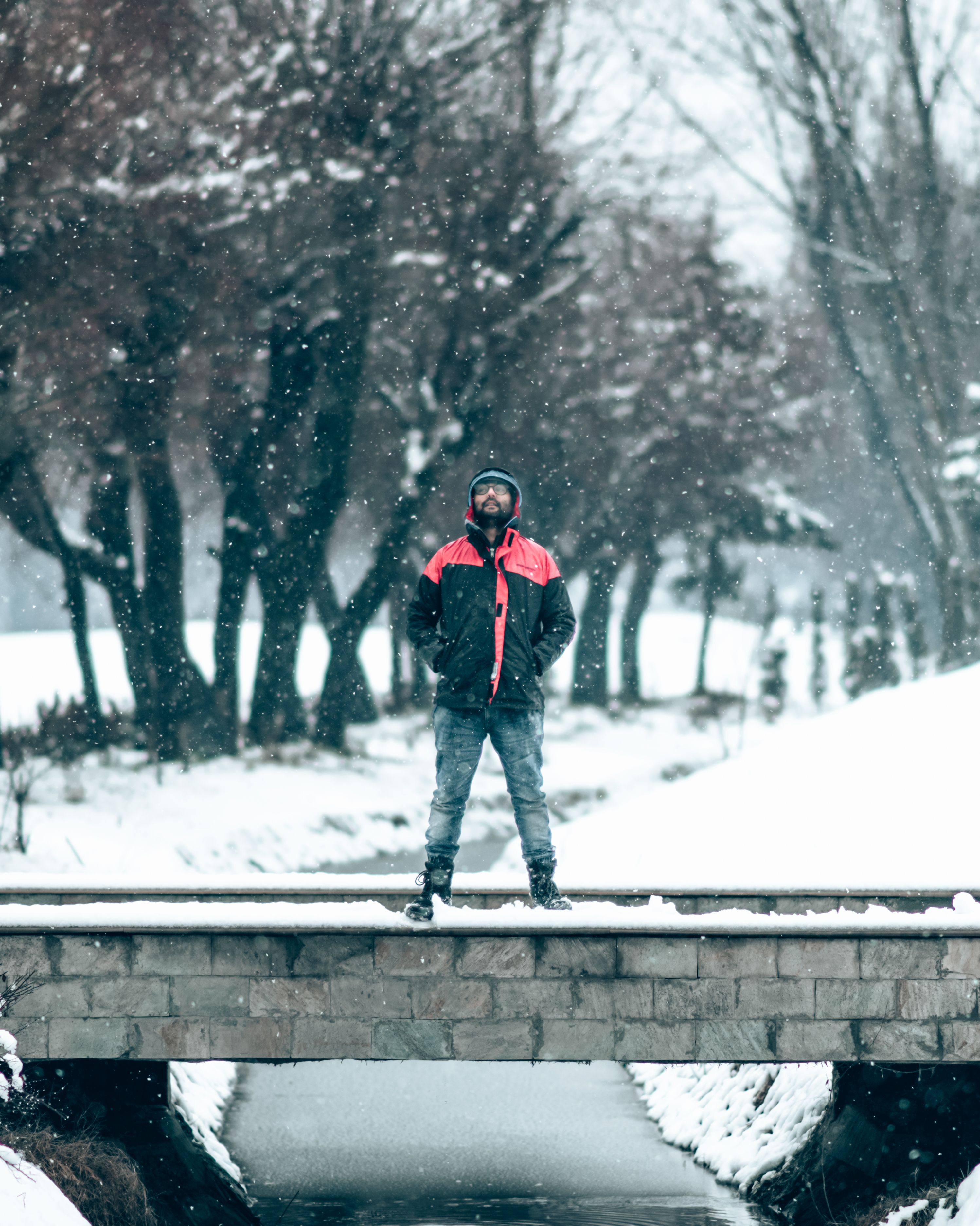 A Man Wearing Jacket Standing on the Small Bridge · Free Stock Photo