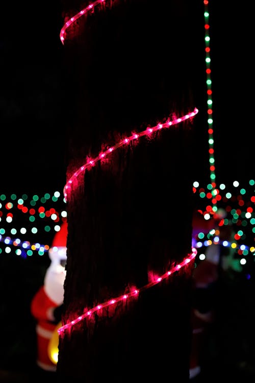 Ingyenes stockfotó Karácsony, karácsonyi fények témában