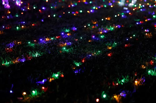 คลังภาพถ่ายฟรี ของ christmaslights, คริสต์มาส