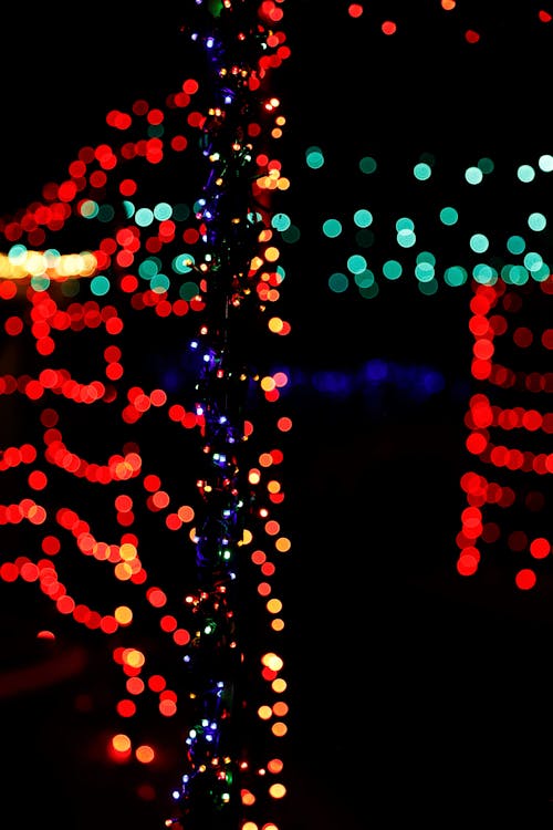 Foto stok gratis hari Natal, lampu natal