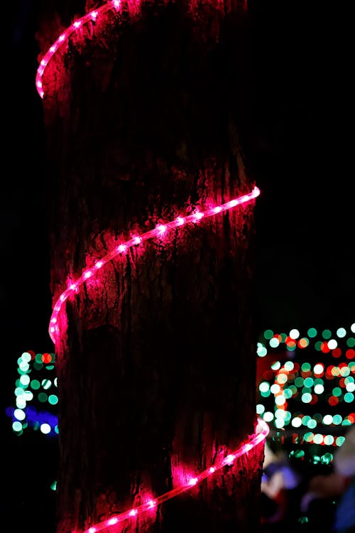 Бесплатное стоковое фото с рождественские огни, рождество