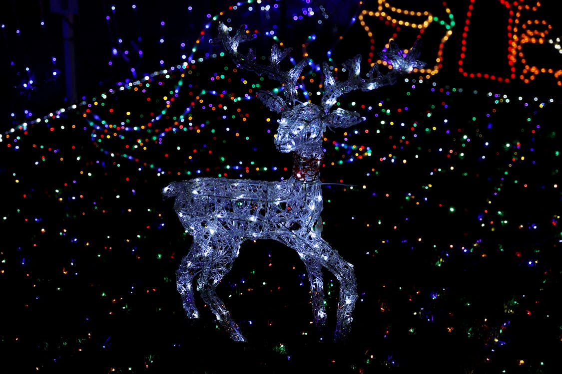 Reindeer out of Christmas Lights