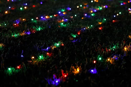 Noel, noel ışıkları içeren Ücretsiz stok fotoğraf