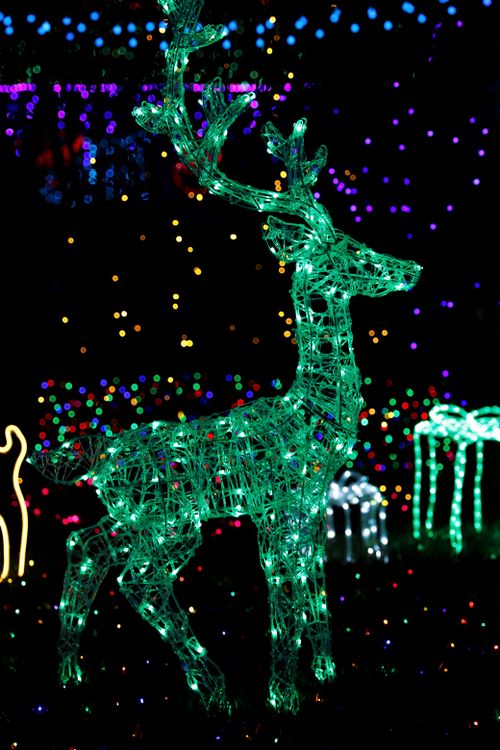 Free A glowing neon deer sculpture in a vibrant night garden with colorful lights. Stock Photo