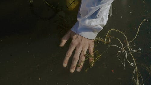 Top View of a Hand in Water