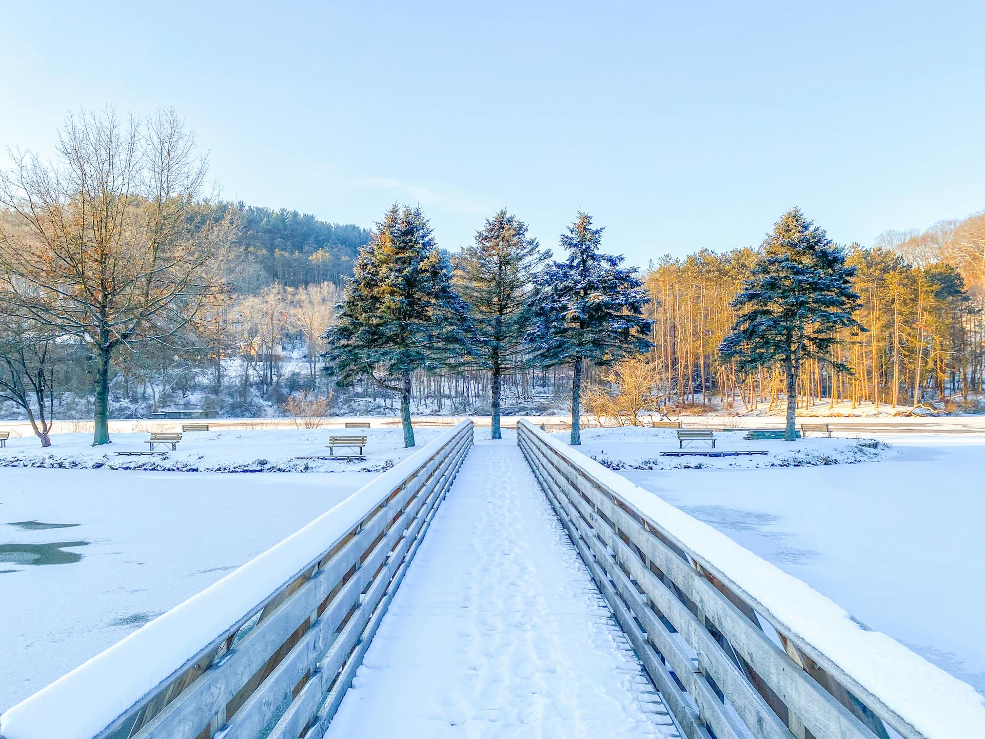 A scenic winter landscape in Pennsylvania showcasing a snow-covered bridge and trees under a blue sky.