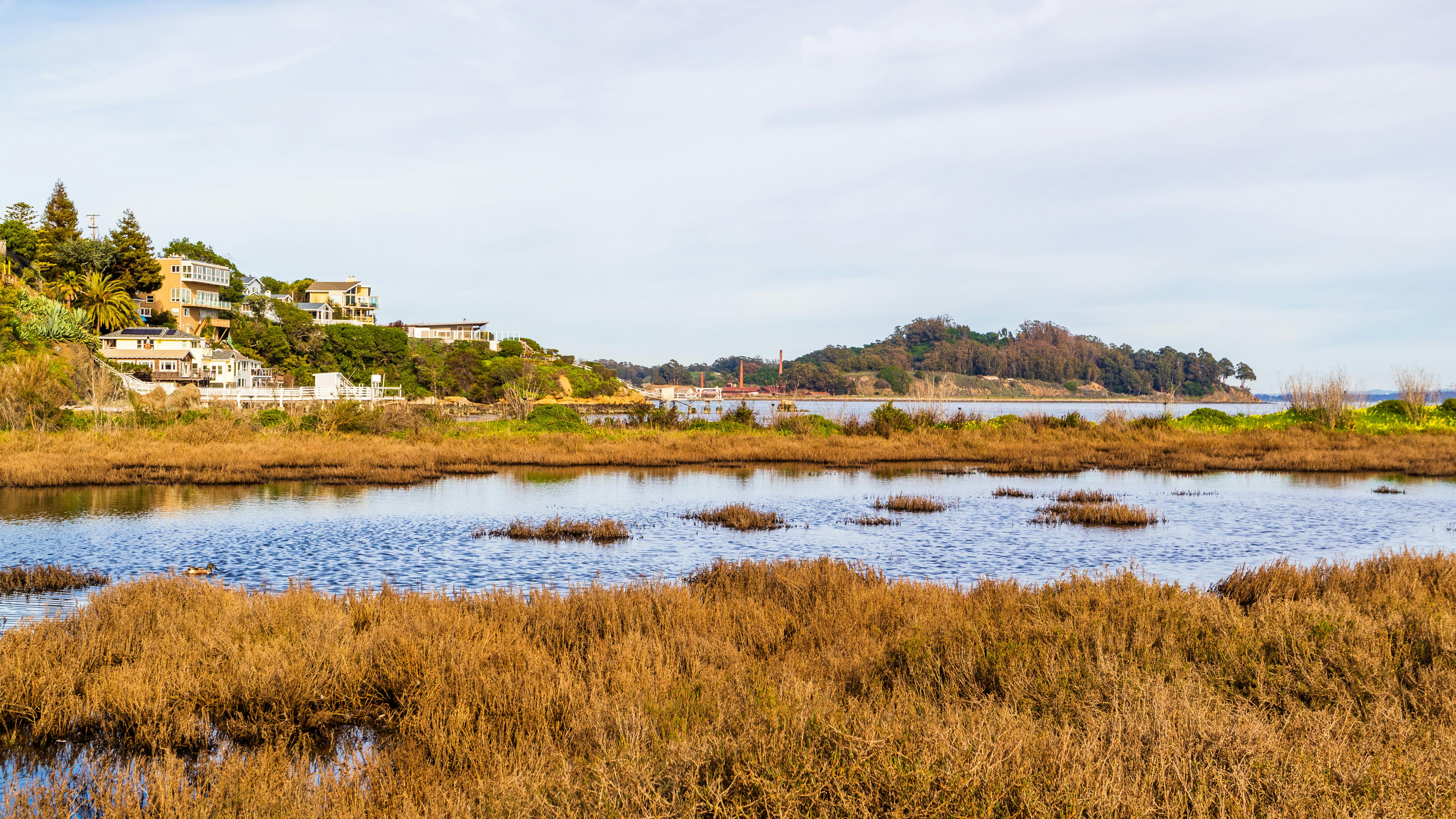 免費 住宅建築, 前景, 和平的 的 免費圖庫相片 圖庫相片