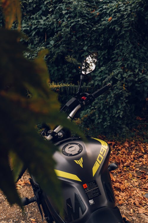 Black and Yellow Motorcycle Parked Near Green Trees