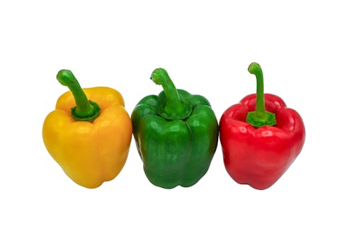 Free stock photo of bell pepper, nature