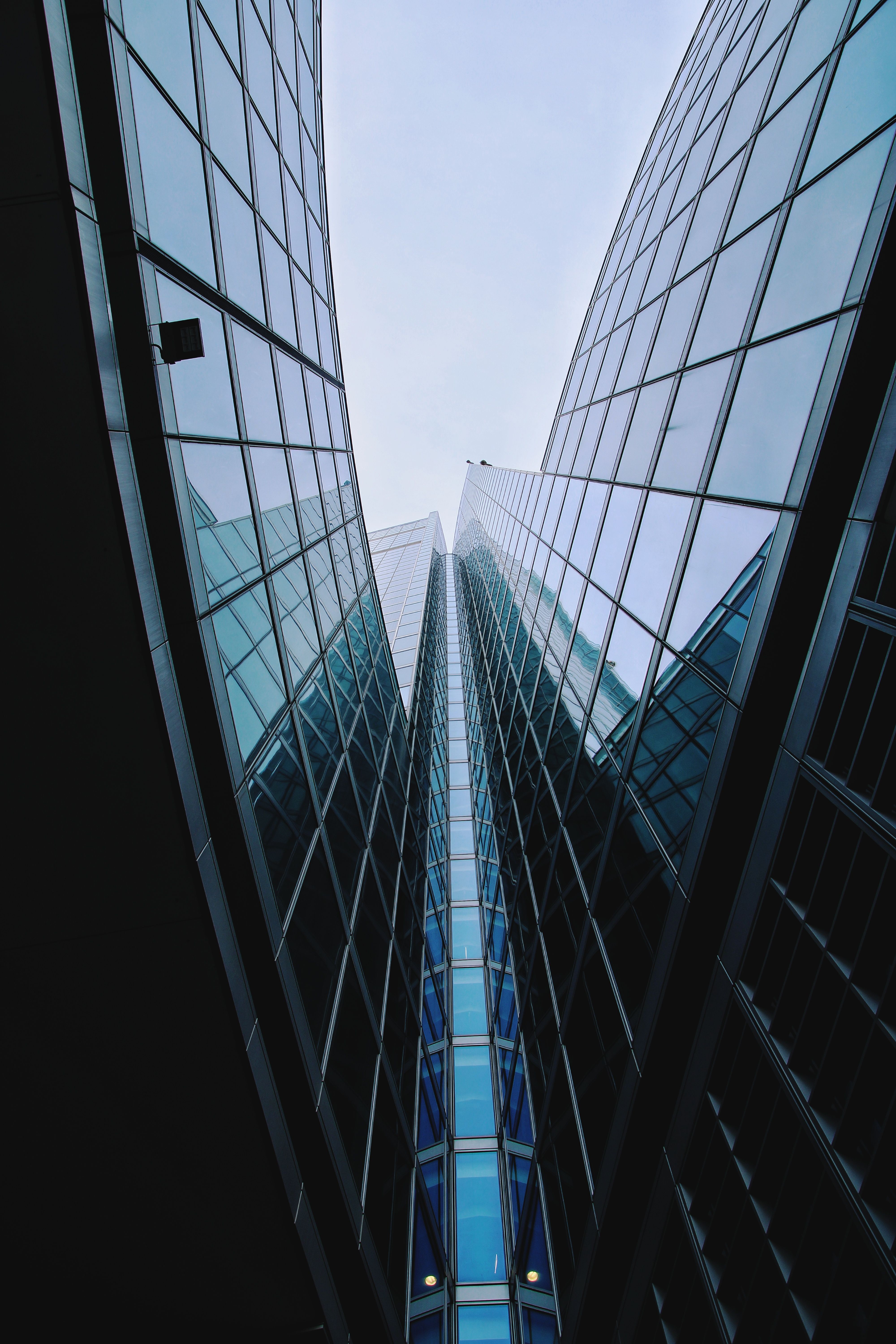 View of Glass Building Exterior from Below · Free Stock Photo