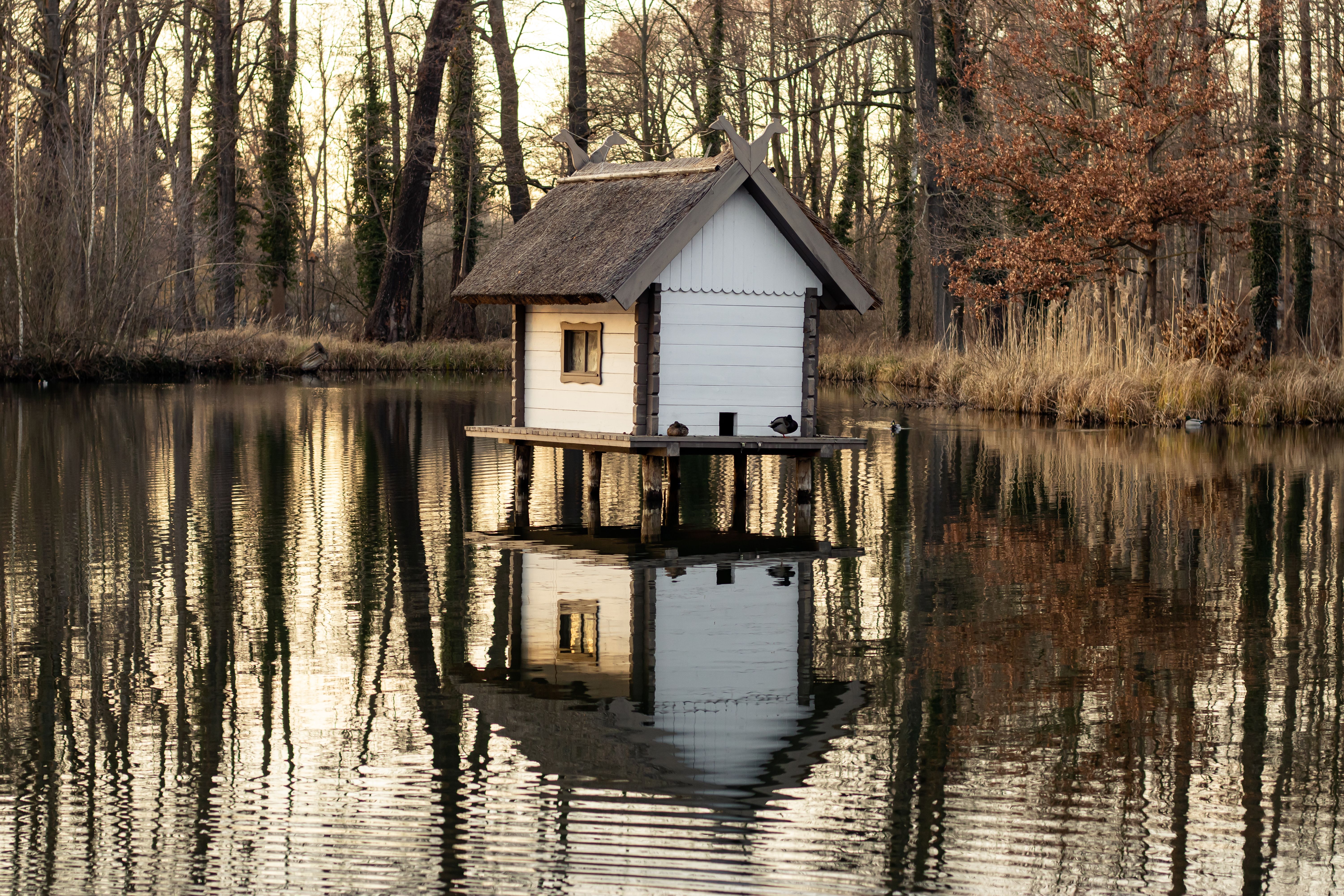 Brown and White Wooden House on Lake · Free Stock Photo