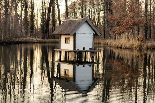 Kostnadsfria Kostnadsfri bild av bungalow, natur, reflektion Stock foto
