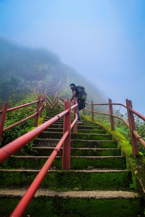 Free stock photo of path to heaven