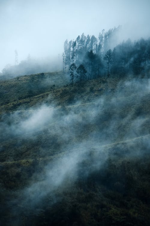 Mountains in Fog at Dawn