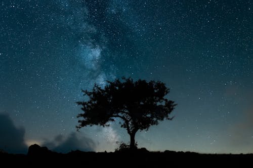 Foto d'estoc gratuïta de arbre, astrologia, astronomia