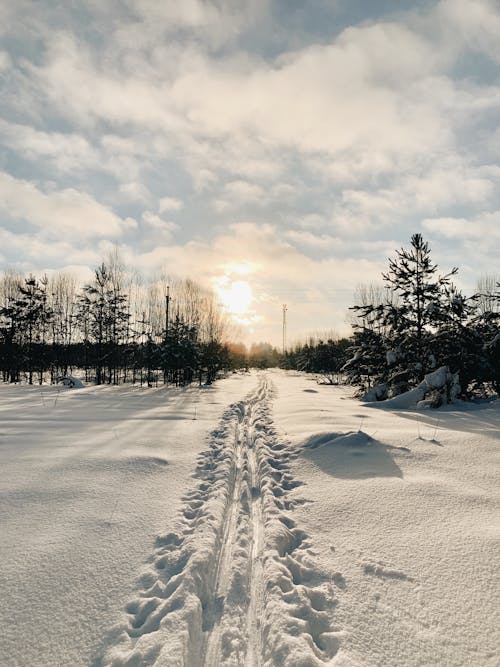 Sun Shines over Snowy Landscape