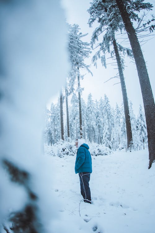 Fotobanka s bezplatnými fotkami na tému chladný, chôdza, človek