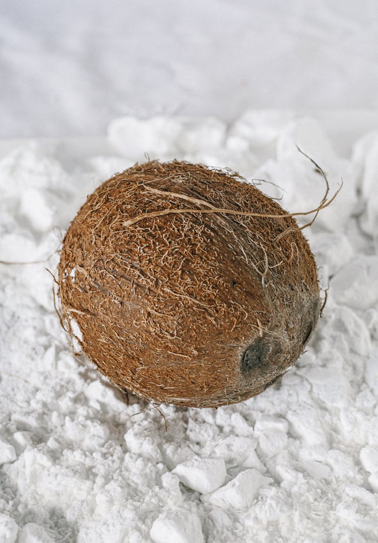 Round Coconut Shell On White Powder