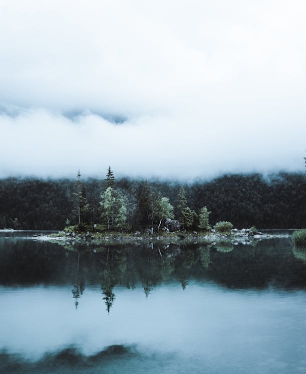Green Trees Beside Lake Under White Clouds · Free Stock Photo