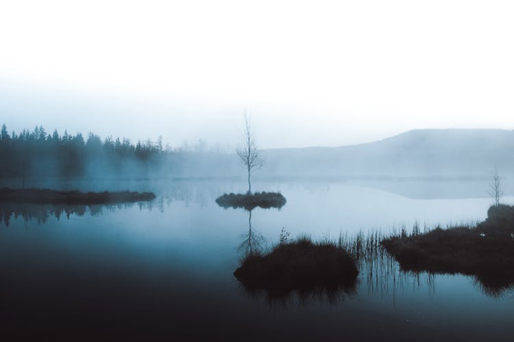 Fog Floating Over Marsh