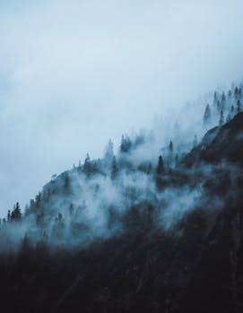 Fog envelops a forested mountain in Tyrol, Austria, creating a serene natural landscape.
