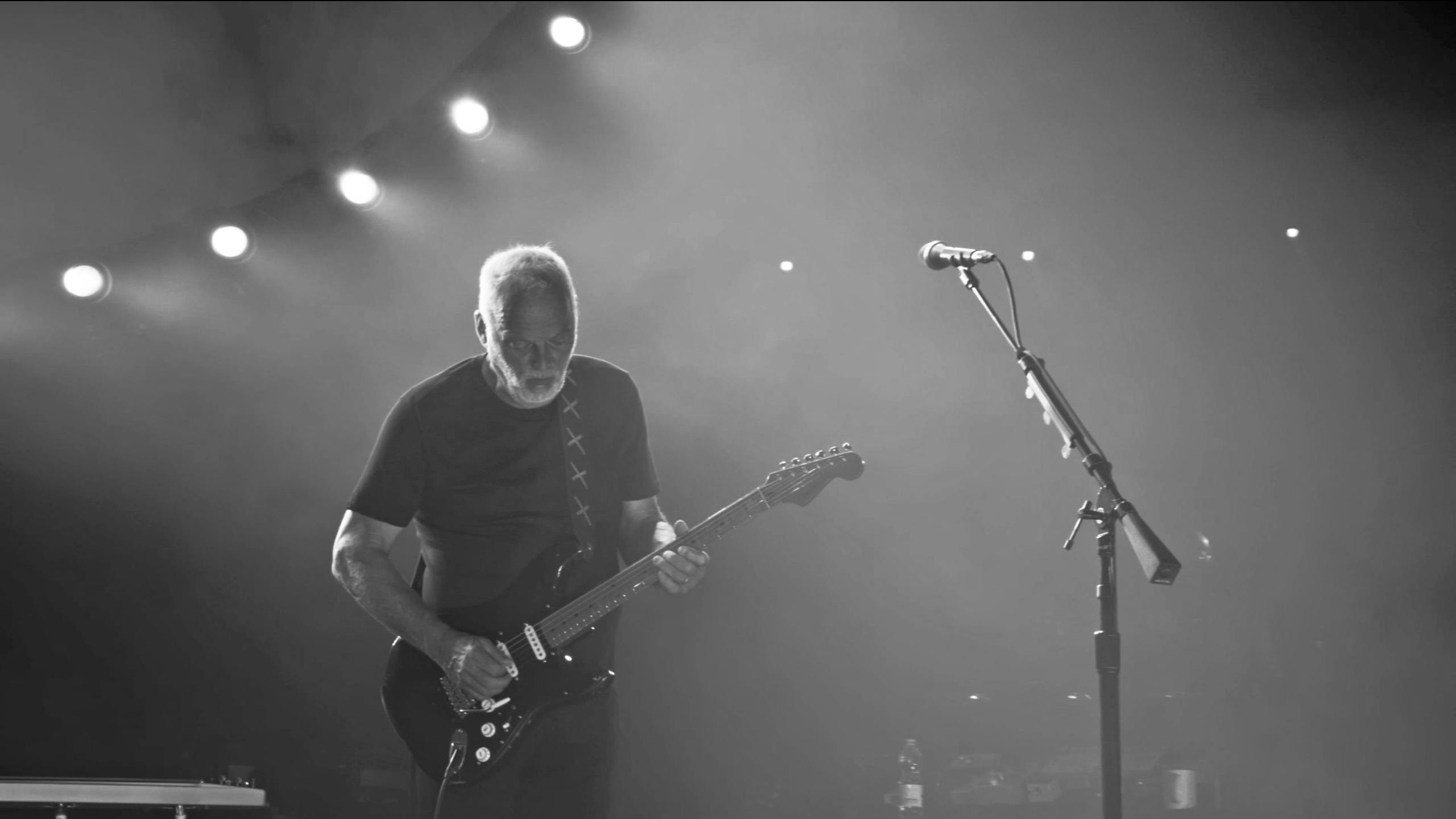 Free stock photo of band, black and white, David Gilmour