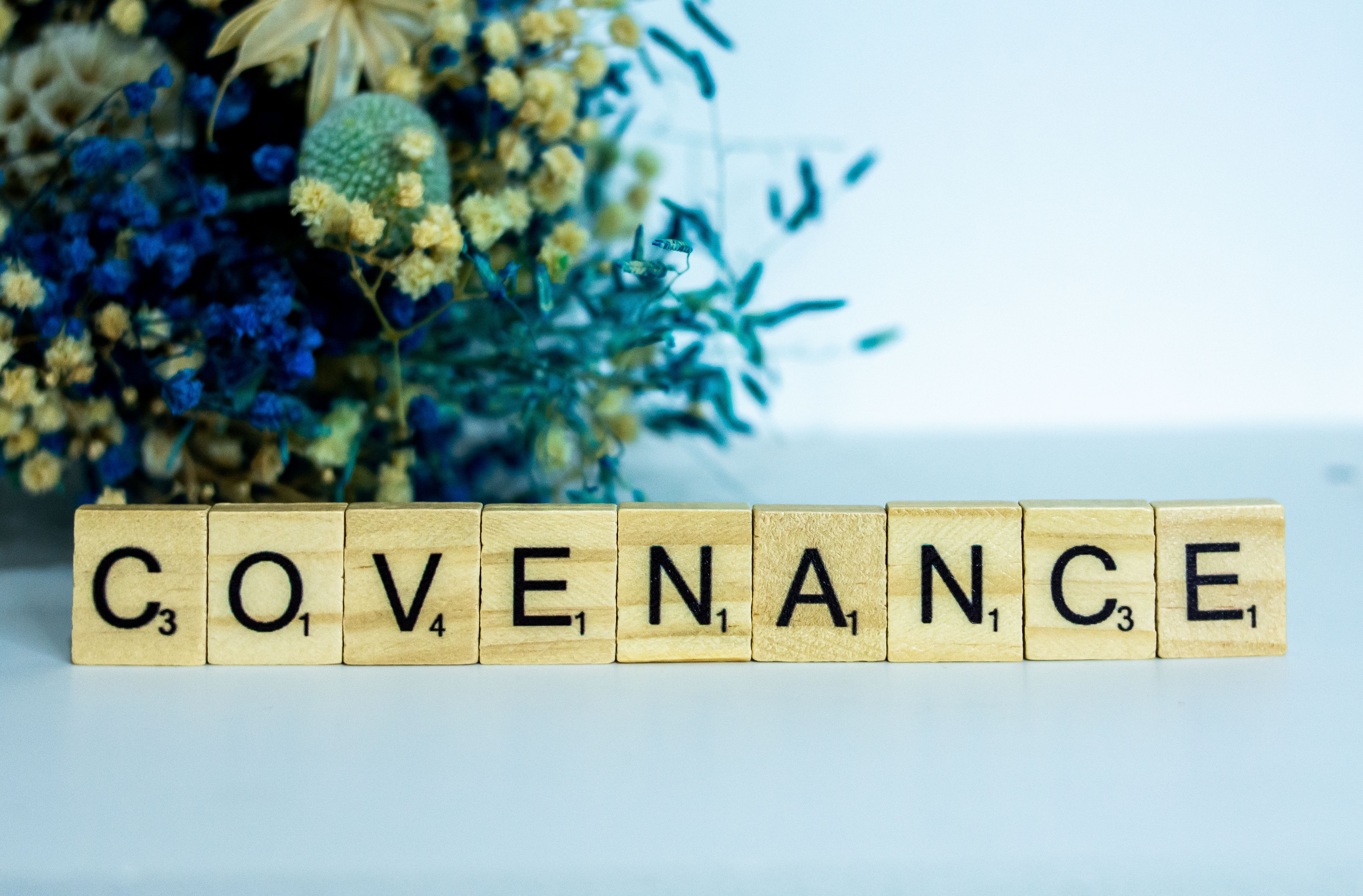 Corporate Governance: The “G” in ESG — Photo by Faith Giant on Pexels