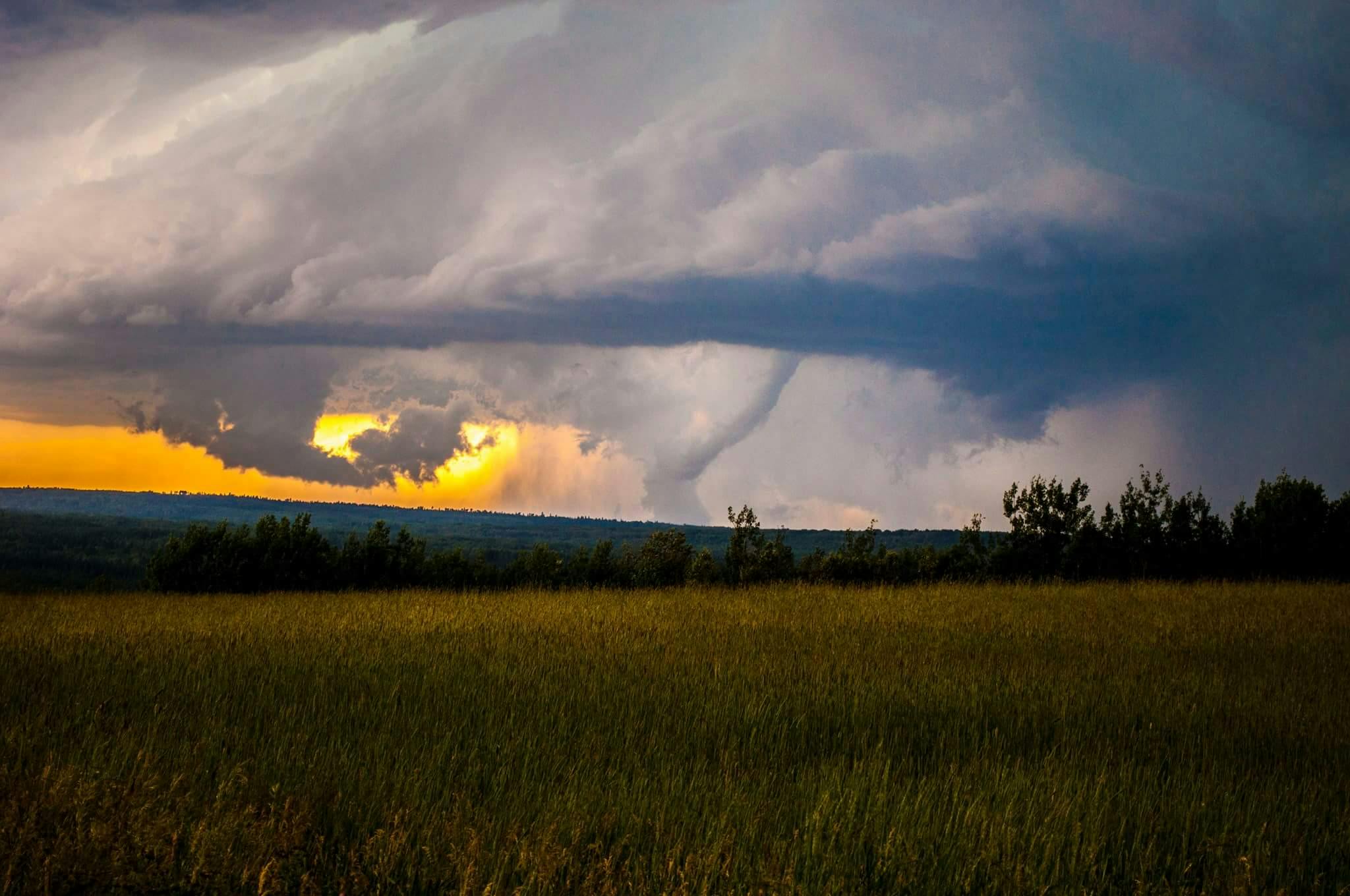 Greenwood cleaning up storm damage to homes, school — Photo by Matthew Wolfe on Pexels