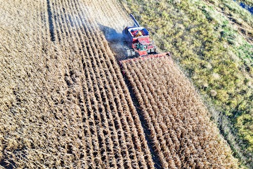 Red Combine Harvester on Cropland