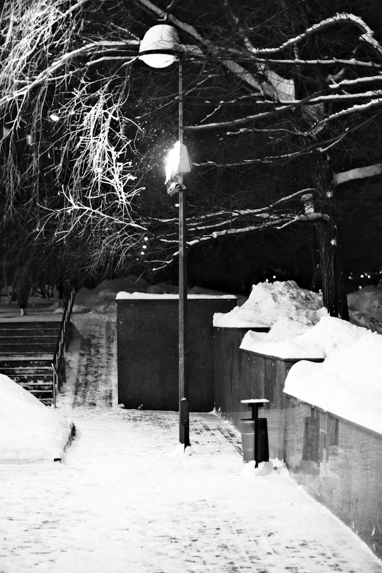 Snow In Urban Park At Night