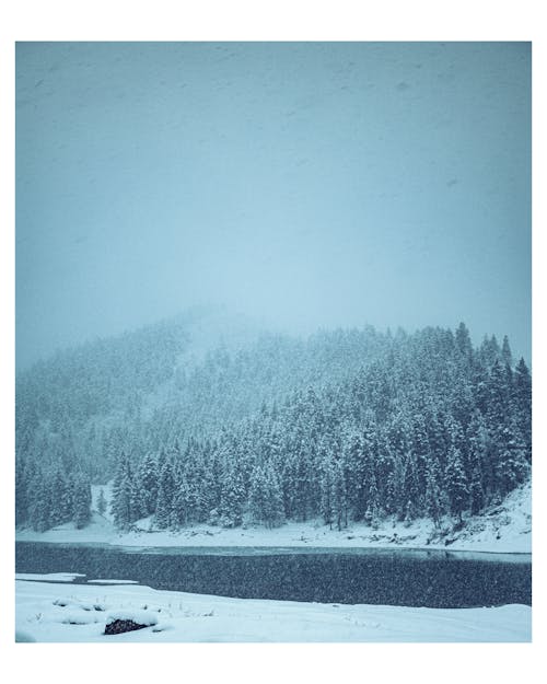 免費 冬季, 冰, 冷 的 免費圖庫相片 圖庫相片