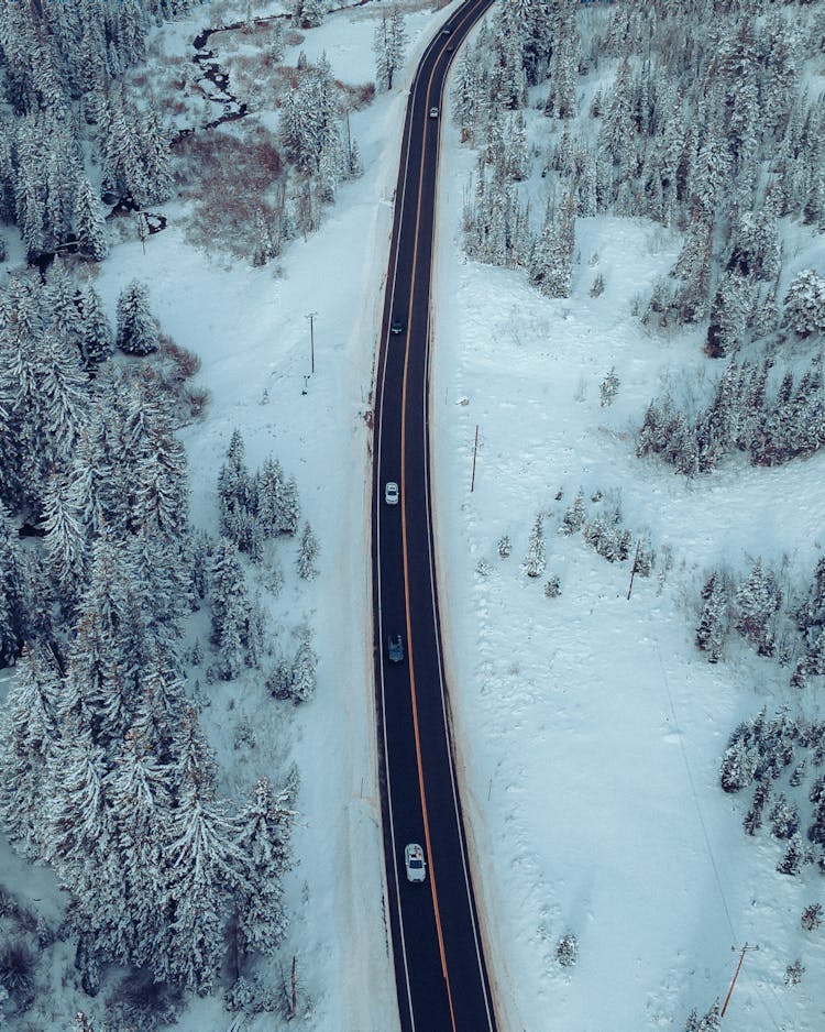 Aerial View Of Road Leading Through Snowy Forest