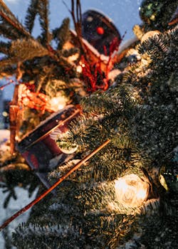 Close-up of illuminated Christmas decorations and snow-covered conifer branches, capturing the winter holiday spirit.