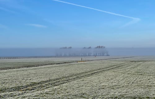 Aerial View of Foggy Croplands
