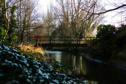 Free Tranquil river scene with a leafless tree backdrop and a footbridge in winter, UK. Stock Photo