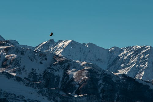 Kostnadsfria Kostnadsfri bild av alperna, bergen, blå himmel Stock foto